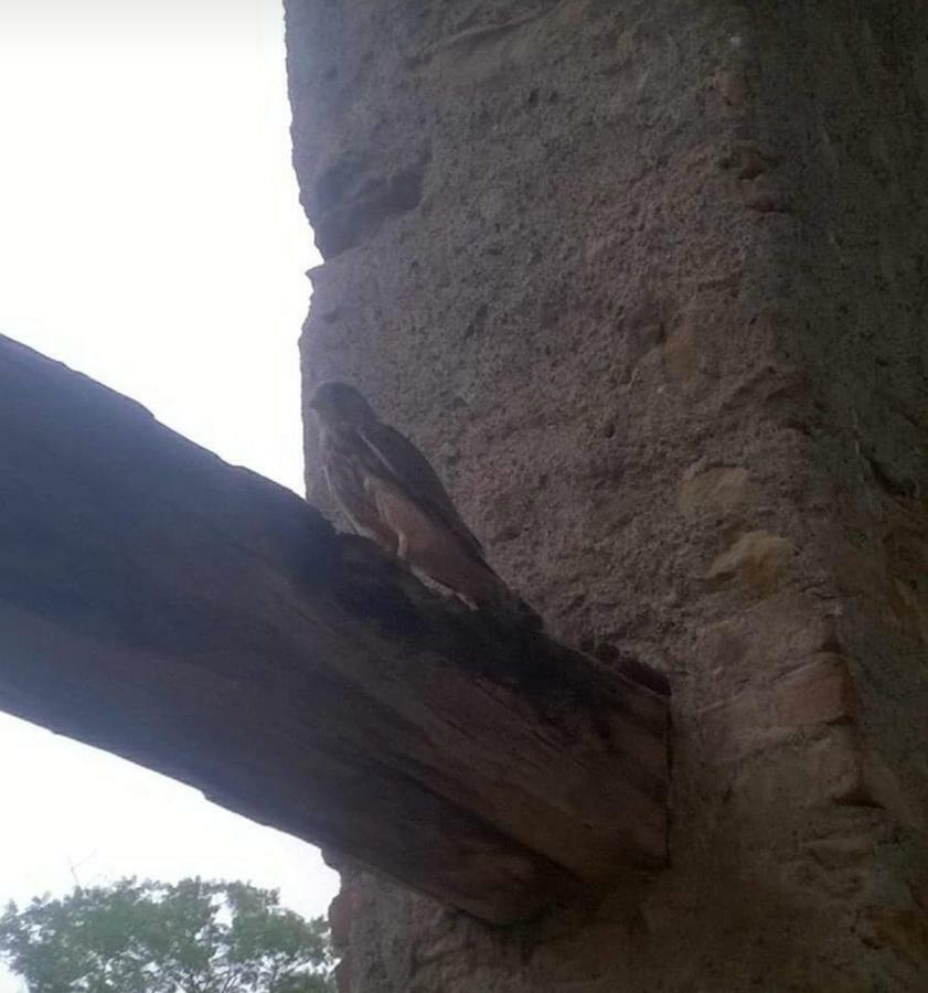 Cascina Carrata Casa Vacanze Villa Parodi Ligure Esterno foto